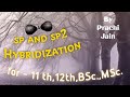 Hybridization of Atomic Orbitals Explained -  sp, sp2, and - Inorganic Chemistry