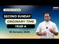 Homily 2nd Sunday in Ordinary Time Year A I Homily 18 January 2026 Year A