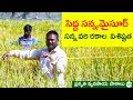 ప్రకృతి వ్యవసాయ పాఠాలు II సిద్ద  సన్న,మైసూర్ సన్న రకాల వరి విశిష్టత II శివ ప్రసాద రాజు