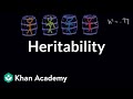 Heritability | Behavior | MCAT | Khan Academy
