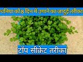 धनिया उगाने का सबसे आसान और सरल तरीका | fastest growing method of coriander | coriander