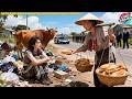 Beggar Girl Saved by Old Woman’s Bread 15 Year Later Returns as Female Billionaire to Repay Kindness
