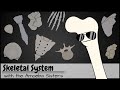 Skeletal System
