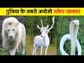 दुनिया के 10 सबसे दुर्लभ सफेद जानवर | World’s Top 10 Rarest White Animals