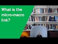 What is the micro-macro link?
