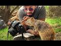 Animals Catch Photographers by Surprise in the Funniest Ways 🤪 Funny Animal Videos