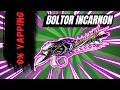 Boltor Incarnon Build 2026 - 15s Guide | Warframe