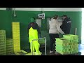 27062023 03 PATRON MAIOR