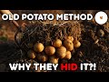 The Lost Potato Method That Produces Massive Yields Effortlessly
