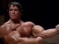 Arnold Schwarzenegger Bodybuilding Training Motivation - No Pain No Gain | 2026