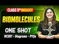 Biomolecules Class 11 Biology One Shot 🔥 | NCERT + Diagrams | Biology Chapter 9