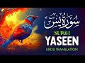 036 Surah Yaseen Full [Surah Yasin Recitation with HD Arabic Text] Surah Yaseen Pani Patti Voice