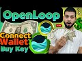 OpenLoop Node - Wallet Connection And Key Buying Guide - Join Early Airdrop Phase