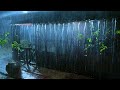Relieve Stress So You Can Sleep Instantly with Heavy Rain and Mighty Thunder on Tent Roof at Night