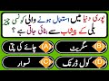 Islamic Common Sense Paheliyan In Urdu/Hindhi  | Islamic Questions Answers |Islamic Quiz