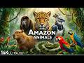 Wild Life Amazon jungle, Giant Anaconda Attack, Amazon Jungle’s Deadliest Predator, #wildlife