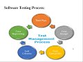 Test Management Process