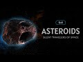 Asteroids - Silent Travelers of Space – [Hindi] – Quick Support