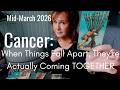 CANCER : The YOU You Are Becoming | Mid March 2026 Zodiac Tarot Reading