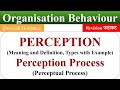 Meaning of Perception, perception process, perceptual process, ob, organisational behaviour,