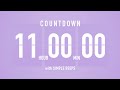 11 Hour Countdown Timer ⏳ Flip Clock with Bell Alerts 💜🔔