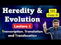 Heredity and Evolution | Lecture 1 - Transcription, Translation and Translocation | MH State Board