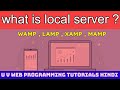 What is local server in website development - Basics of web technologies  | Hindi