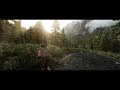 Skyrim LOD PI-CHO ENB