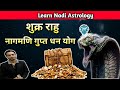 Shukr Rahu Yuti Fal | शुक्र राहु नागमणि गुप्त धन योग | शुक्र राहु युति फल | Venus Rahu Conjunction