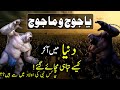Yajooj Majooj ka Waqia | Hazrat Zulqarnain and Yajooj majooj kaun hai | planet of yajuj majuj