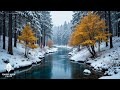 Beautiful Winter Music ❄️ Calming The Soul With Gentle Tunes