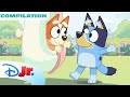 Bluey 18 FULL Episodes Compilation! Onesies, Omelette \u0026 More! 💙 | @disneyjr