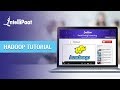 Hadoop Tutorial | What Is Hadoop | Big Data Hadoop Tutorial For Beginners | Intellipaat