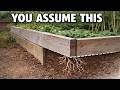 The Raised Bed Detail Most Gardeners Get Wrong