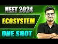 ECOSYSTEM in 1 Shot: FULL CHAPTER COVERAGE (Theory+PYQs) | Prachand NEET