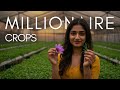 5 High Profit Crops That Can Make You a Millionaire in India | Farming Business Ideas