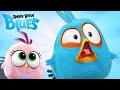 Angry Birds Blues | The Blues' Craziest Fails! 🤣