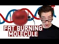 A Fat Burning Molecule HIDDEN in your Genes. [UCP]