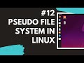 12 Pseudo File System dev proc sys