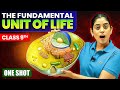 The Fundamental Unit of Life IN ONE SHOT  ✅ | Class 9 Science Chapter 5 | NCERT + PYQs | Samridhi S.