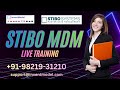 Stibo MDM Live training - Demo session