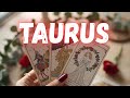 TAURUS You Don’t Know It Yet But You \u0026 This Person Are Going To Be A POWER Couple 🦋 February 2026