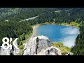 8 HOURS of Cheerful Birds' Chirping - 8K Amazing Mountain View, Mount Rainier National Park