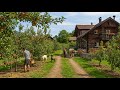 How do people live in Swiss Alpine villages? Among apple and cherry orchards.