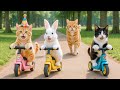Mother Cat Bakes Birthday Cakes to Surprise Kitten with a New Scooter 🎂🛴❤️ | A Sweet Story of Love