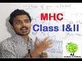 MHC  class 1 and 2 | Major histocompatibility complex | Structure and Function|Manas Mishra
