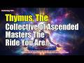 Thymus, The Collective of Ascended Masters~ The Ride You Are in for on Planet Earth | Awakening YOU