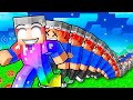 Minecraft But If I Die, I Get Upgraded!