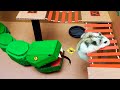 🐹🐍Snake Hamster Maze with Traps - obstacle course