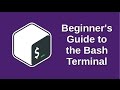 Beginner's Guide to the Bash Terminal